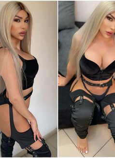 Ango 21cm - Transsexual escort in Beirut Photo 30 of 30