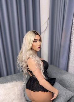 Ango 21cm - Acompañantes transexual in Beirut Photo 29 of 30