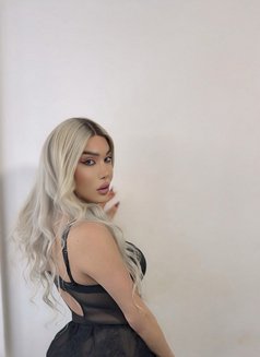 Ango 21cm - Acompañantes transexual in Beirut Photo 4 of 30