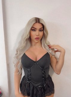 Ango 21cm - Acompañantes transexual in Beirut Photo 1 of 30