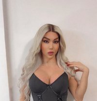 Ango 21cm - Transsexual escort in Beirut