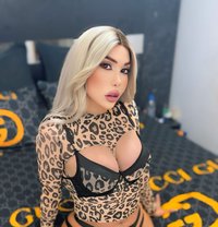 Ango xxl - Transsexual escort in Beirut