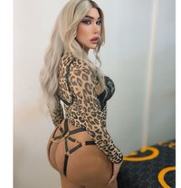 Ango xxl - Transsexual escort in Beirut