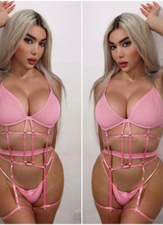 Ango xxl - Transsexual escort in Beirut Photo 30 of 30