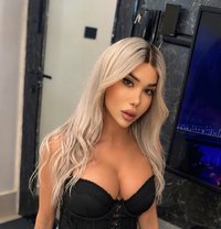 Ango xxl - Transsexual escort in Beirut