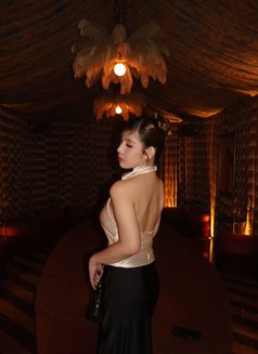 Ani Just arrive - escort in Singapore Photo 9 of 10
