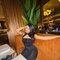 Anika - escort in Dubai Photo 4 of 5