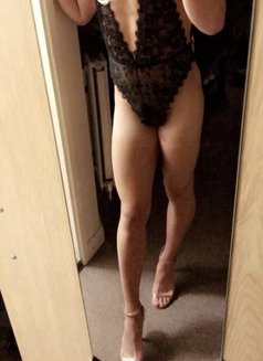 Anima - Male escort in Phuket Photo 4 of 5