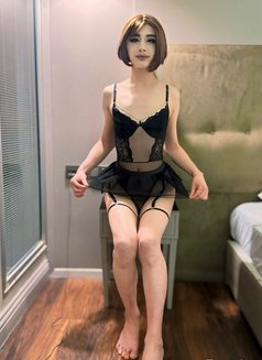Anis 🧚🏼‍♀️ - Transsexual escort in İstanbul Photo 8 of 8