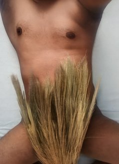 Anish - Acompañantes masculino in Chennai Photo 2 of 2