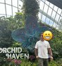 Anish - Masajista in Dubai Photo 1 of 1