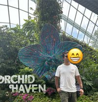 Anish - masseur in Dubai