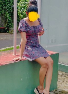 Anisha Beautiful and funny new girl - escort in Colombo Photo 1 of 5
