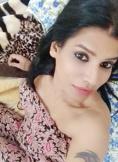 Anisha2 for Cam and Real meet - Acompañantes transexual in New Delhi Photo 16 of 19