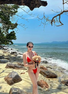 Anjera 🇹🇼 Last day - escort in Taipei Photo 21 of 21