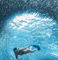 Anjie - escort in Makati City