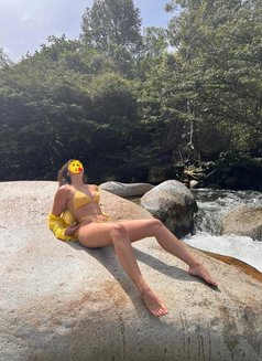 🥀 (Independent) Webcam and Meet❣️ - escort in Ahmedabad Photo 4 of 5