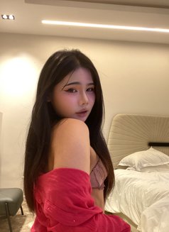 Anly (VVIP) - Transsexual escort in Khobar Photo 3 of 7