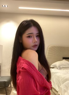 Anly (VVIP) - Transsexual escort in Khobar Photo 4 of 7