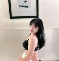 Anly (VVIP) - Transsexual escort in Khobar
