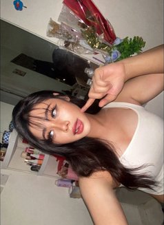 Anly (VVIP) - Transsexual escort in Al Manama Photo 5 of 6