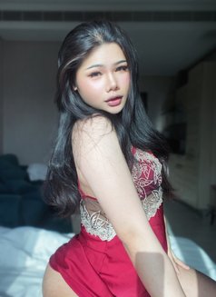 Anly in Bahrain 🇧🇭🇹🇭 (VIP) - Transsexual escort in Al Manama Photo 1 of 6