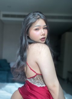 Anly in Bahrain 🇧🇭🇹🇭 (VIP) - Transsexual escort in Al Manama Photo 4 of 6