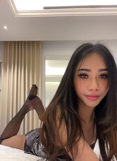 Ann Ladyboy - Masajista in Phuket Photo 4 of 4