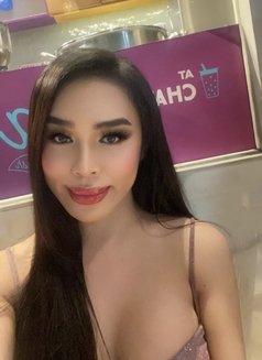 Let me teach you and handle you - Transsexual escort in Manila Photo 9 of 25