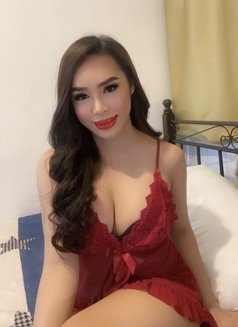 Let me teach you and handle you - Transsexual escort in Manila Photo 19 of 25