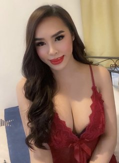 Let me teach you and handle you - Transsexual escort in Manila Photo 16 of 25