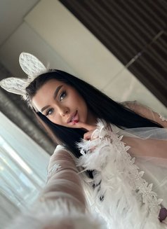 Anna - escort agency in Dubai Photo 6 of 13