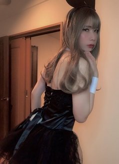 Elle Now in sz - Transsexual escort in Shanghai Photo 13 of 25