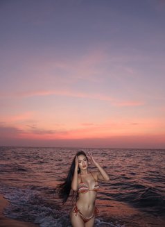 Just arrived here in Bali! - Transsexual escort in Bali Photo 14 of 24