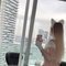Anna Tantra Massage - escort in Toronto Photo 4 of 4