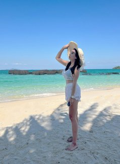 Anna incall 3000/ outcall 3500 - puta in Bangkok Photo 23 of 30