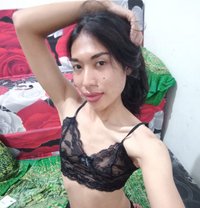 Anna - Transsexual escort in Bali