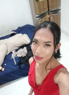 Anna - Transsexual escort in Bali Photo 4 of 6