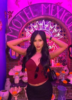 Anna - Acompañantes transexual in Jakarta Photo 5 of 5