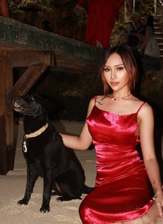 Anna - Acompañantes transexual in Jakarta Photo 2 of 9