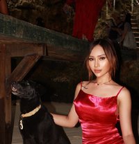 Anna - Acompañantes transexual in Jakarta
