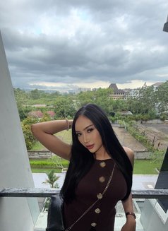 Anna - Acompañantes transexual in Jakarta Photo 9 of 9