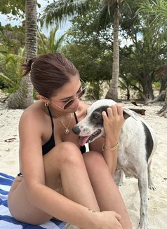 Meia(just arrived) - escort in Phuket Photo 3 of 4