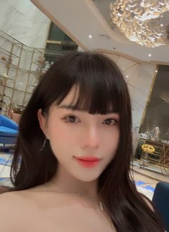 Anna Kim have everything you need - Acompañantes transexual in Ho Chi Minh City Photo 30 of 30