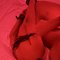 ⚜️ Anna Mistress Big Cock⚜️ 🇹🇭 - Male escort in Riyadh Photo 3 of 15