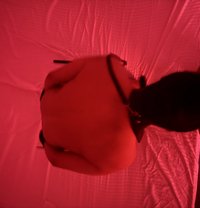 ⚜️Top Mistress Big dick 69 ⚜️ - Acompañantes transexual in Riyadh