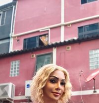 Anna - Transsexual companion in Pattaya