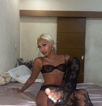 Anna Trans 47kg - Male escort in Dubai