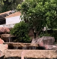 Anna - escort in Ho Chi Minh City