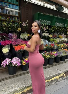 Annah - escort in Brisbane Photo 2 of 5